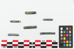 Foto von Bronzering (NHMW-PRAE-078069)